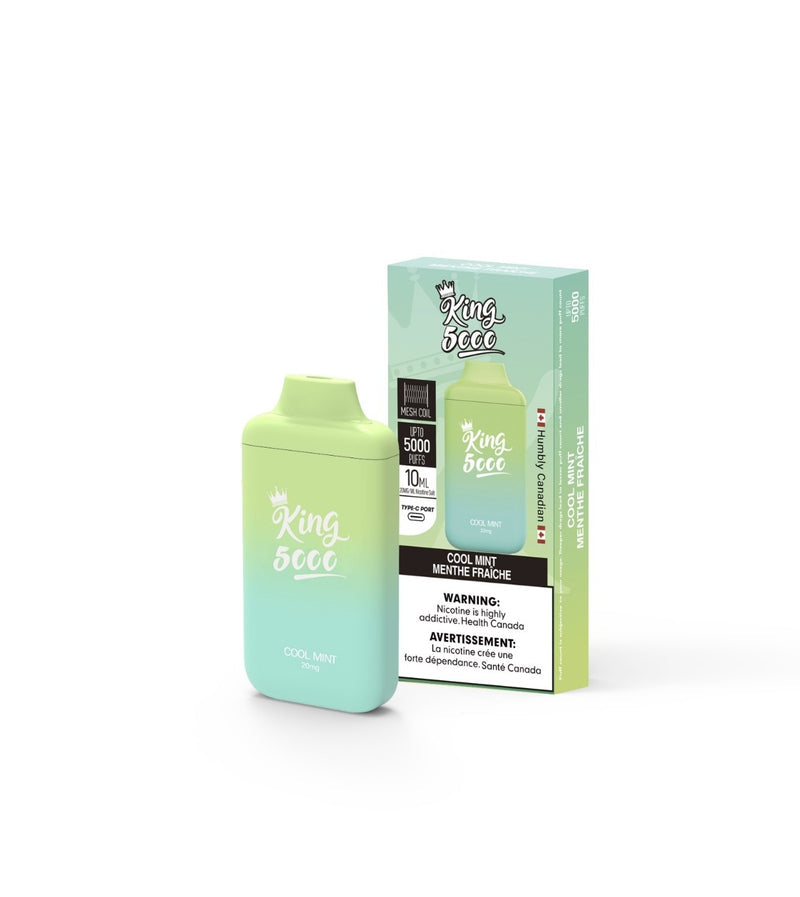 King vape 6000 Cool Mint 0mg/ml disposable vape (Provincial)